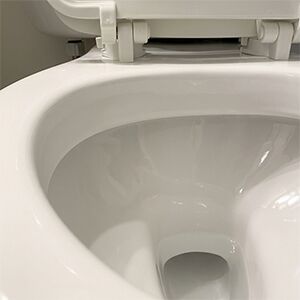 RestoraBowl image